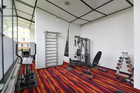 Pronájem bytu 3+kk s komorou v Karlíně - Fotografie 3