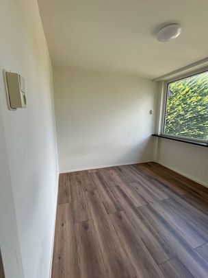 Beukenlaan 32A, 9741 HM Groningen, Nederland - Foto 1