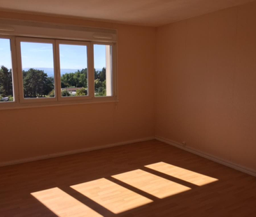 Location : Appartement 2 pièces 44 m2 – GRAND CHARMONT - Photo 3