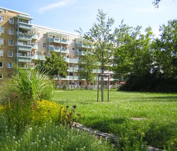 Barrierearme 2-Raum-Wohnung mit Aufzug im grünen Herzen Lusans - Photo 6