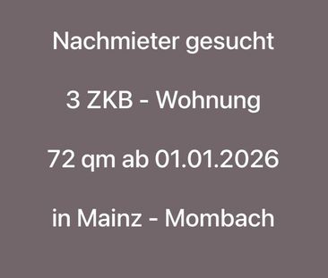 Suche Nachmieter 3 ZKB - Wohnung in Mainz Mombach - Foto 1