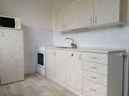 Pronájem prostorné 2+1, 59 m - Fotografie 3