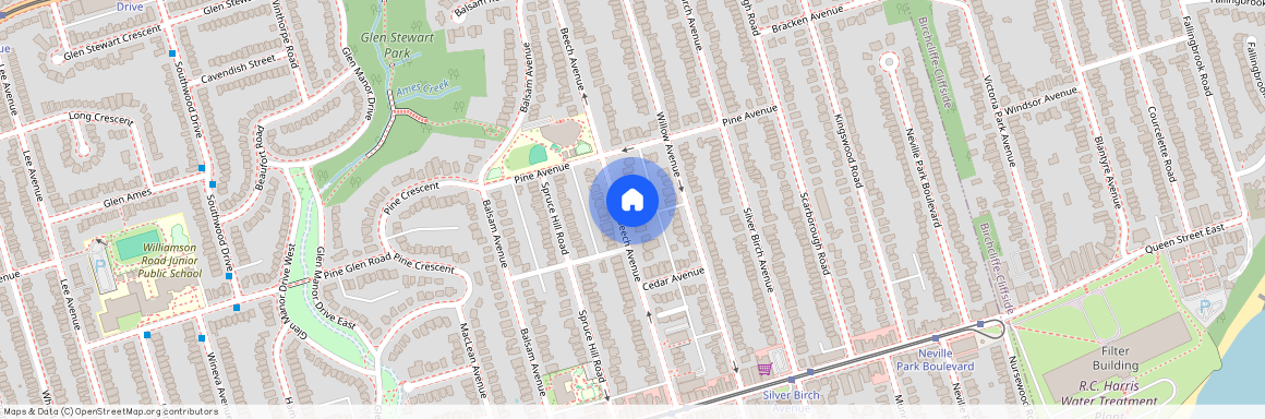 183 Beech Avenue Unit# Lower, Toronto