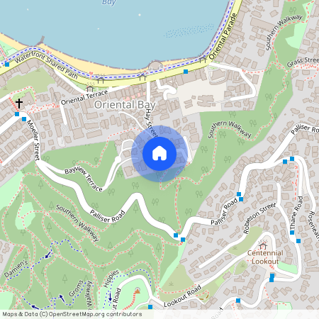 40A Hay Street, Oriental Bay, Wellington City