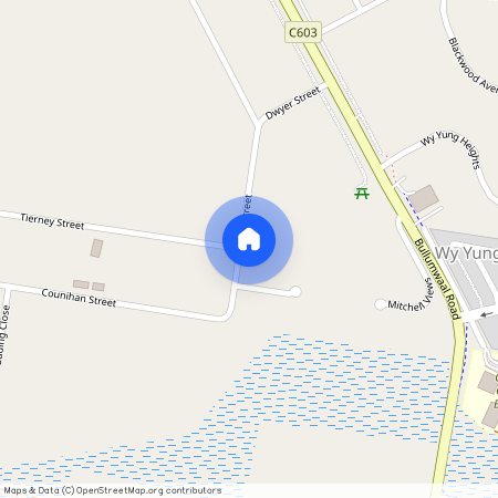 27 Dwyer Street, Vic 3875, Wy Yung