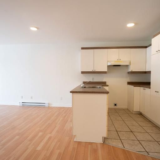 1 CH - 1 SDB - Saint-Charles-Borromée - $1,095 /mo - Photo 1