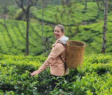 Cooks Hill - Photo 4