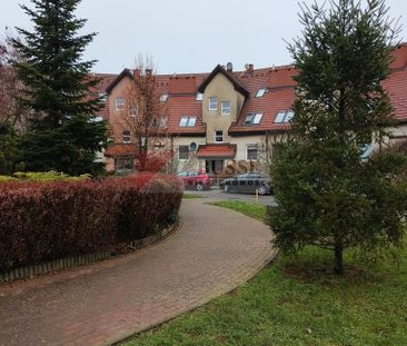 Przecław, mieszkanie na wynajem z ogródkiem. - Zdjęcie 6