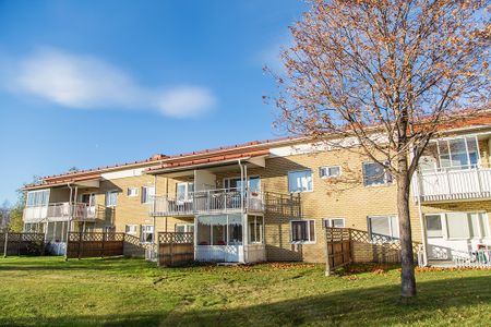 Gulsporregränd 6 B, 94332, Öjebyn - Foto 4