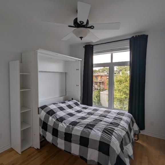 6 1/2 - Montréal (Hochelaga / Maisonneuve) - $1 250 /mois - Photo 1