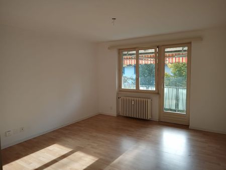 3 Zimmer, EG - Photo 2