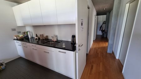 APPARTEMENT DE 3 PIÈCES À LUCERNE, MEUBLÉ, TEMPORAIRE - Photo 3