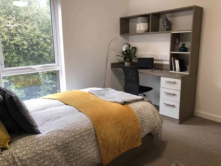 Deluxe Studio - Photo 5