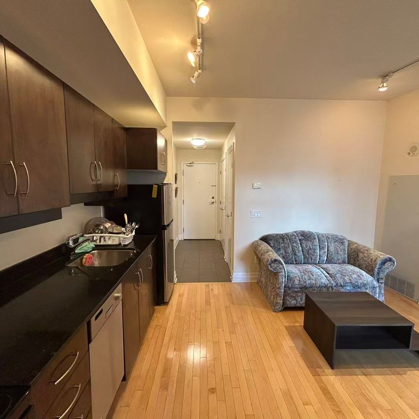 For Lease - 245 Kent Street Unit# 1007, Ottawa Centre, Ontario - Photo 1