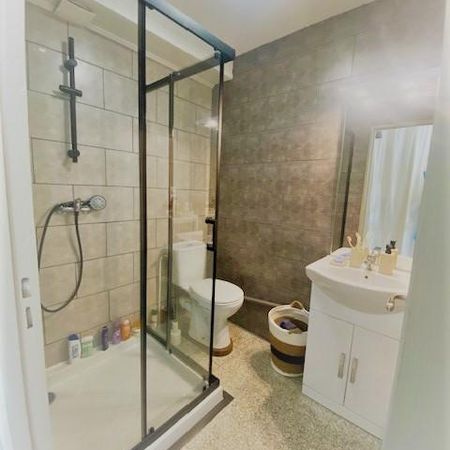 Location Appartement 1 pièce 20m² GAP 05000 - Photo 4