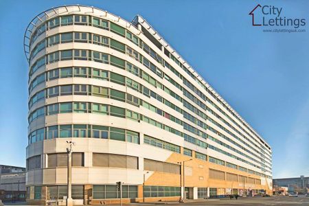 1 Bedroom Studio - Photo 5