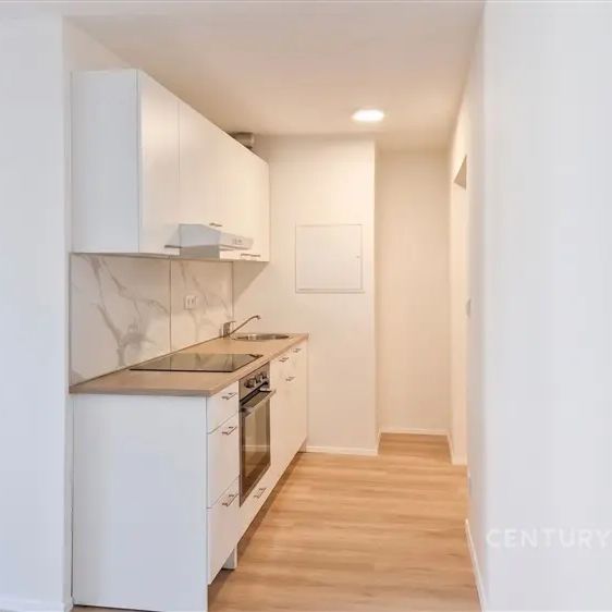 Moderní byt 2+kk po rekonstrukci na podnájem - Fotografie 1