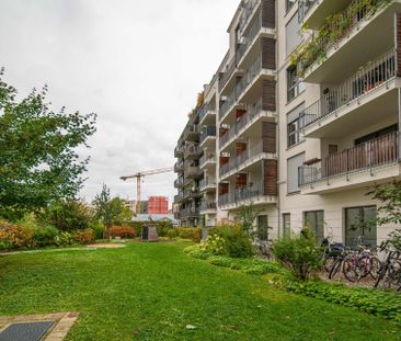 Modern spacious two room apartment in Mitte - Photo 2