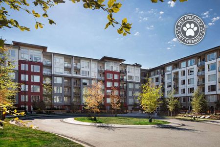 Fraser Flats Apartments - 1 Bedroom - Photo 2