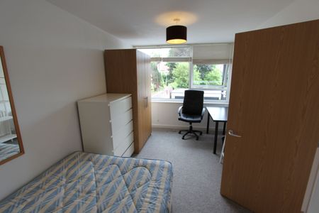 2 Bedroom Home – Student Let - Photo 4