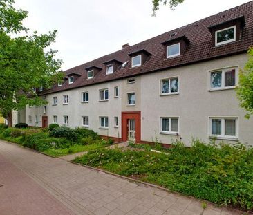 Bremer Str. 171, 49086 Osnabrück OT Widukindland - Photo 5