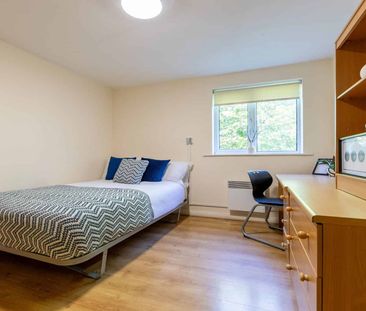 Bronze 2 Bed Apartment - Photo 5