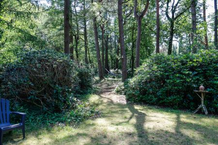 Beschrijving Hoge Vuurseweg - Foto 4