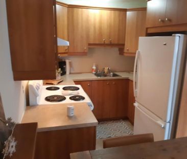 grand 3 1/2 disponible maintenant, Longueuil - Photo 1
