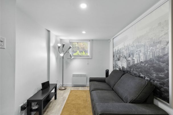 Appartement à louer - Montréal (Rosemont/La Petite-Patrie) (La Petite-Patrie) - Photo 1