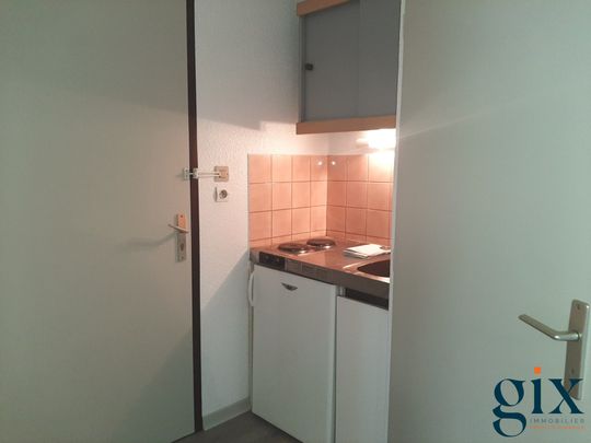Location Appartement 1 pièce 19m² GRENOBLE 38100 - Photo 1