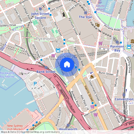 33 Little Mount Street, NSW 2009, Pyrmont