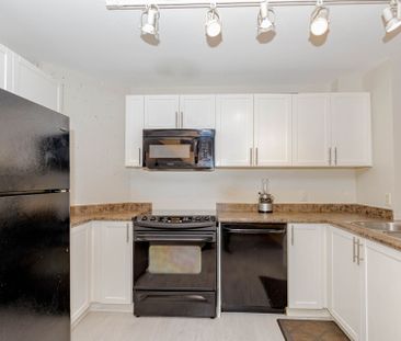 For Lease - 66 Bay Street Unit# 107, Hamilton, Ontario - Photo 6