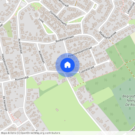 Lupinestraat 1, 3910 Neerpelt