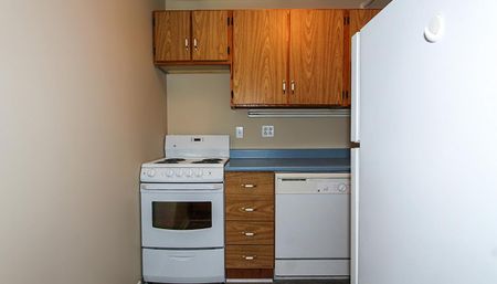 107 Bay Bulls Road - Photo 4