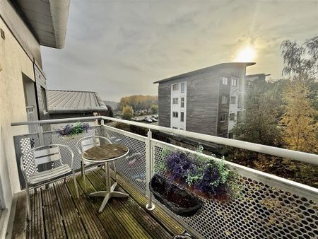 1 bedroom apartment to rent - Photo 4