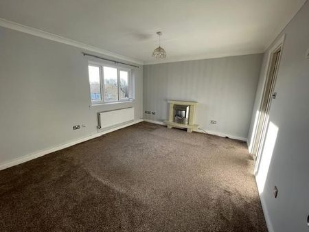 2 bedroom house share to rent - Photo 3