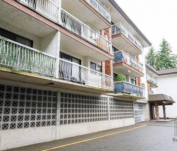 Hillside Terrace - Photo 5