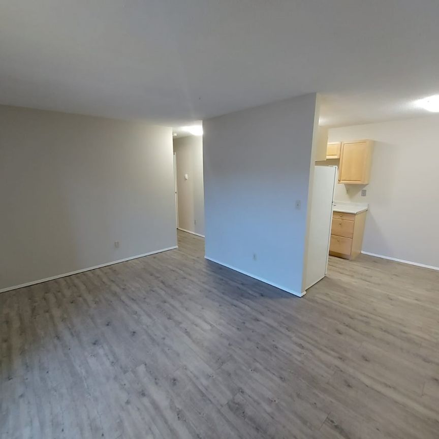 Unit Available in Mature Area of Downtown! One Month Free Rent!! - Photo 1