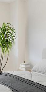 Navaho Apartments - Photo 3