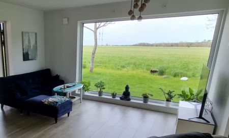 Visby - 4rok - 6mån - 13.800kr/mån - Photo 3