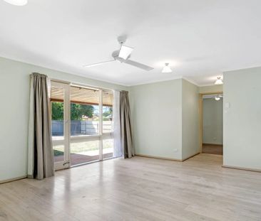 Neat and Tidy - Photo 2