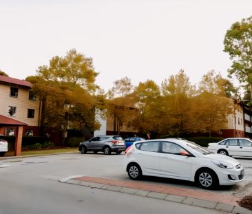 6 Bedroom Apartment kent street - Photo 6