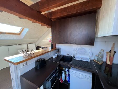 Location Appartement 1 pièce 18m² AIX LES BAINS 73100 - Photo 4