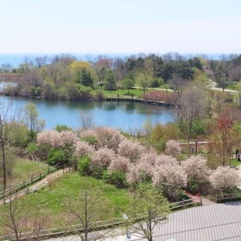 For Lease - 59 Annie Craig Drive Unit# 403, Toronto, Ontario - Photo 1