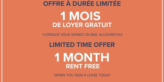 Junior 1 Bedroom Available At 135 East Sherbrooke Street - 135 East Sherbrooke Street, Montréal - Photo 3