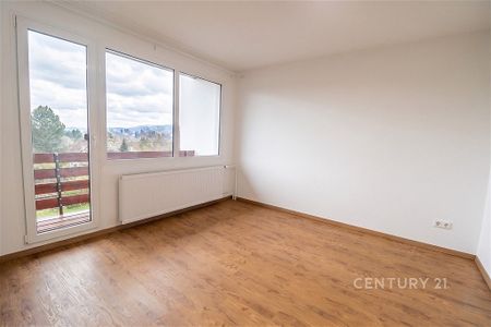 Pronájem domu 234 m² s pozemkem 479 m² - Fotografie 4