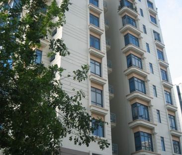 Evelyn Mansions (D11), Apartment - For Rent - Photo 4