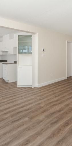 Appartement 4 ½ à louer Sainte-Foy / Sillery janvier 2026 - Photo 1