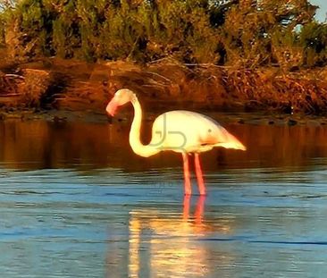 4 bedroom luxury Villa for rent in San Jose, Balearic Islands - Photo 1