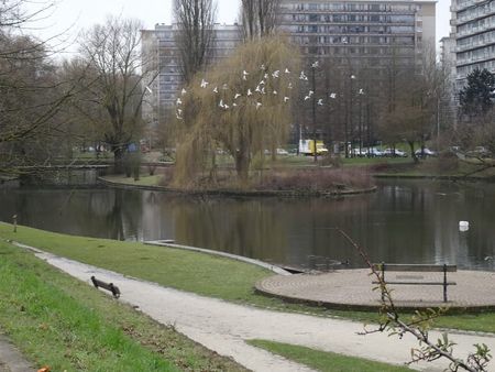 Appartement te huur - Photo 4